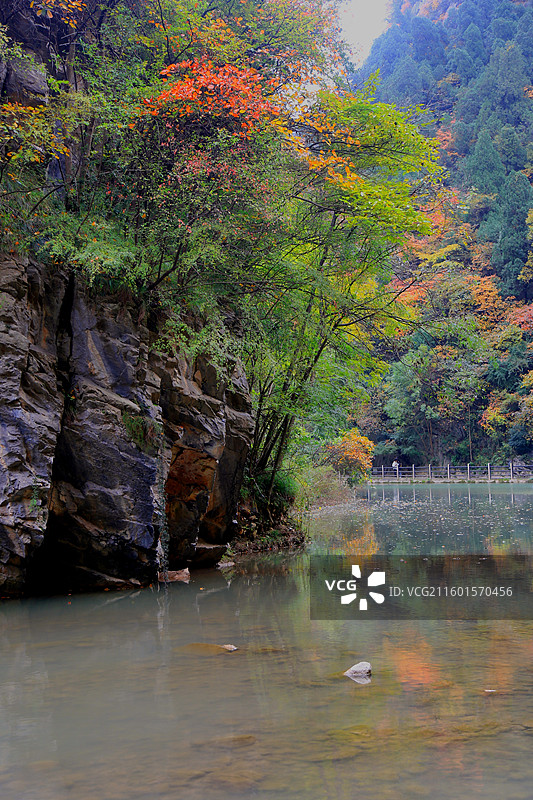 成县西峡秋色（12）图片素材