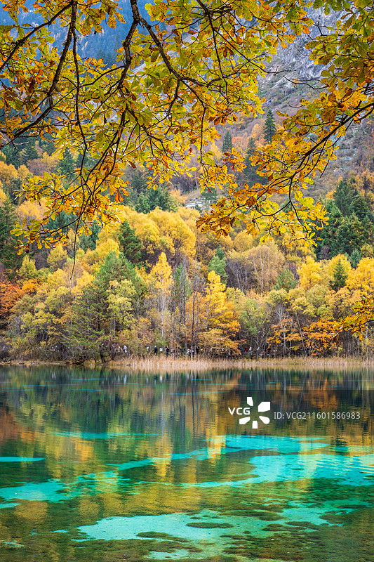 色彩绚丽的九寨沟五花海图片素材