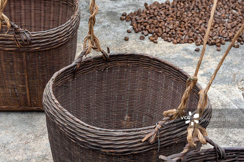 高要，四会周边出产的红花油果种子图片素材