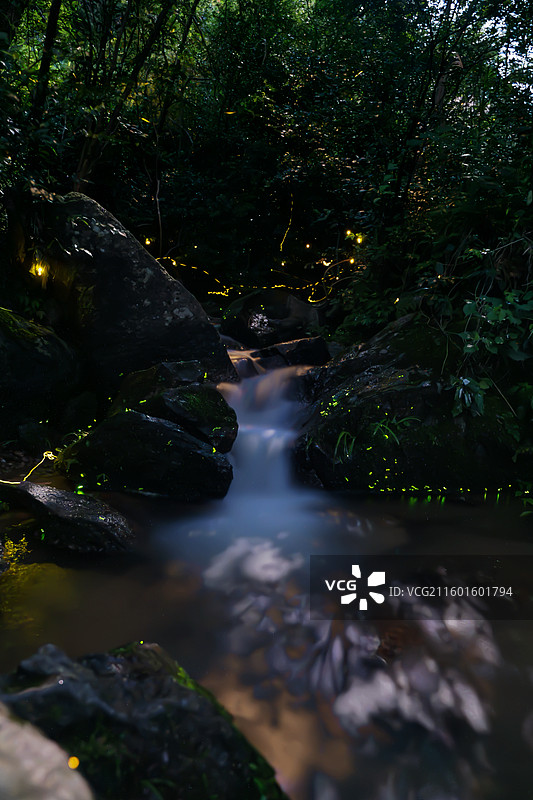 南昌梅岭萤火虫图片素材