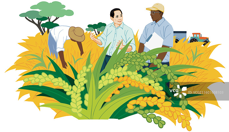 彩色卡通插画非洲粮食袁隆平水稻世界经济农业发展学习技术杂交作物图片素材