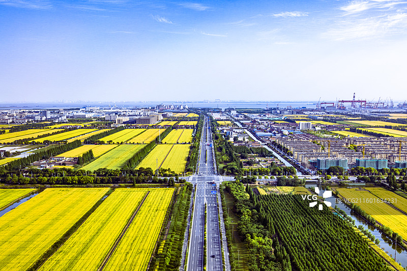 南通江心沙：农城交融的田园新景图片素材