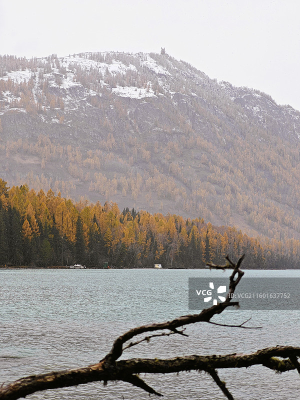 新疆阿勒泰喀纳斯。清晨晨雾铺满山林，远山白雪近处屋顶的雪渐渐苏醒，雾中喀纳斯湖和神仙湾的秋色绝美图片素材