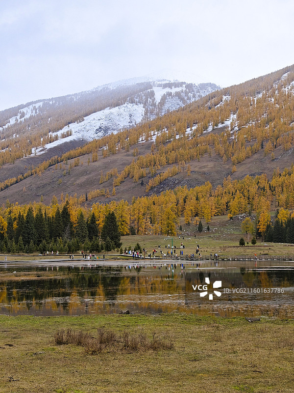 新疆阿勒泰喀纳斯。清晨晨雾铺满山林，远山白雪近处屋顶的雪渐渐苏醒，雾中喀纳斯湖和神仙湾的秋色绝美图片素材