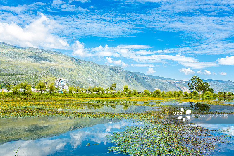 中国云南省大理白族自治州鹤庆县东草海国家湿地公园附近风光图片素材