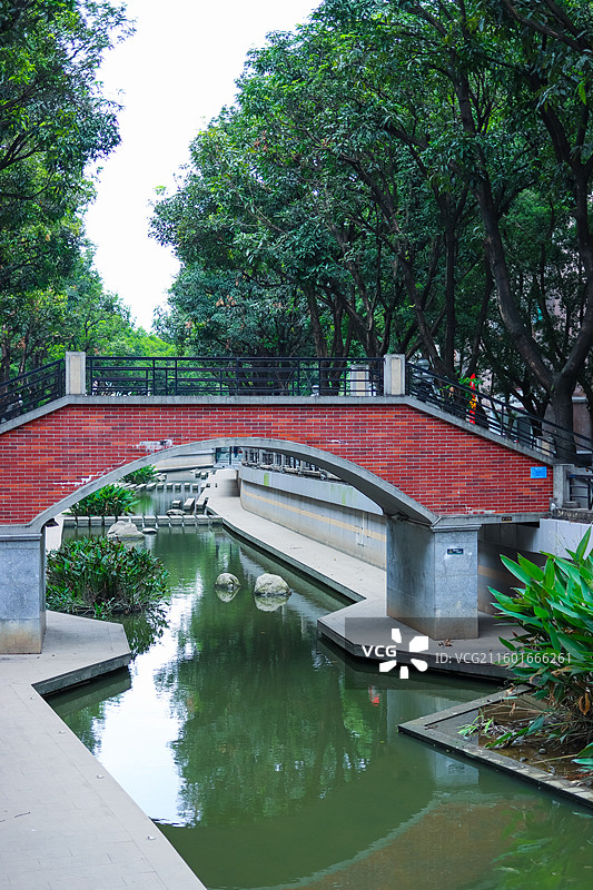 碧道掠影（广东万里碧道新河浦段）图片素材