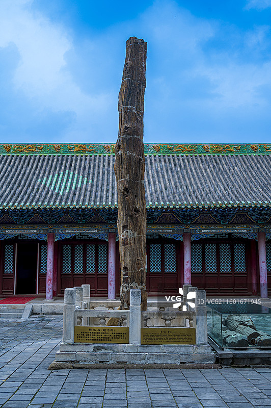 山西省长治市元代潞安府城隍庙——二亿五千万年树化石（硅化石）图片素材