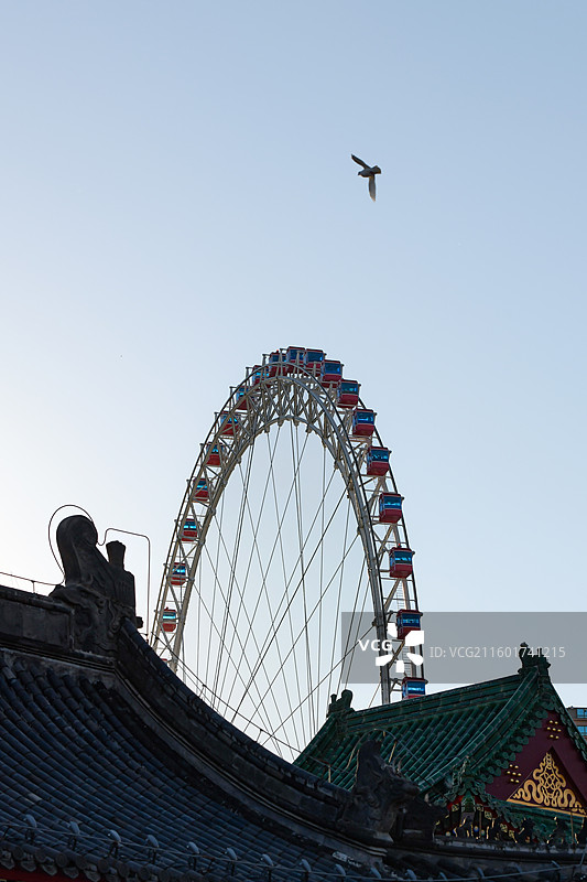 从大悲禅院的屋顶望向天津地标建筑天津之眼摩天轮图片素材