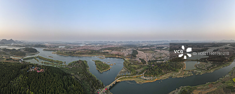 贵州坪坝樱花林全景图片素材