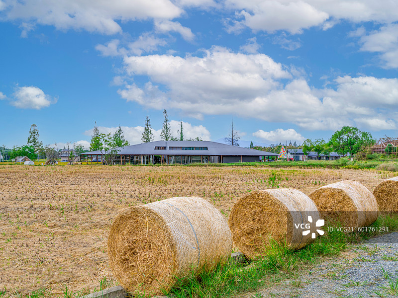 浙江省“未来农场”示范项目：杭州余杭彭公数字化农场图片素材