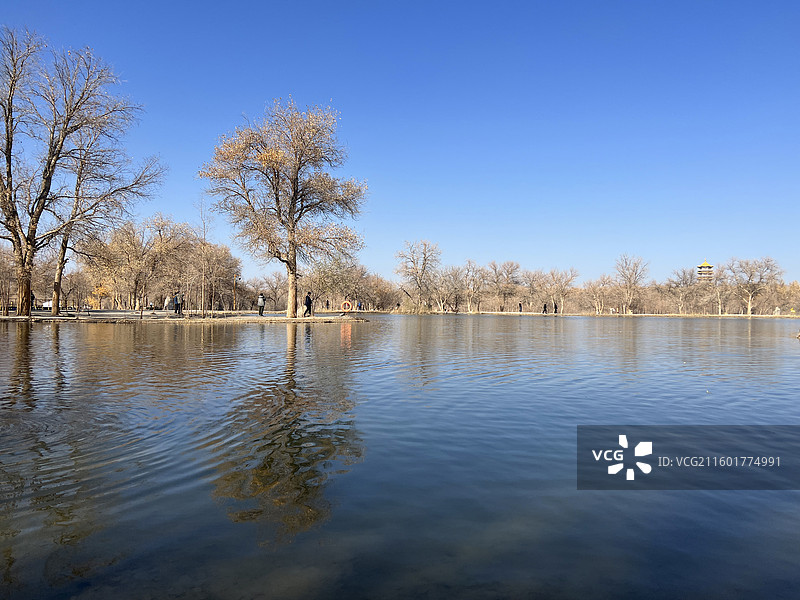 甘肃省酒泉市金塔胡杨林金波湖图片素材