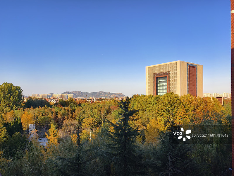 校园秋天图片素材