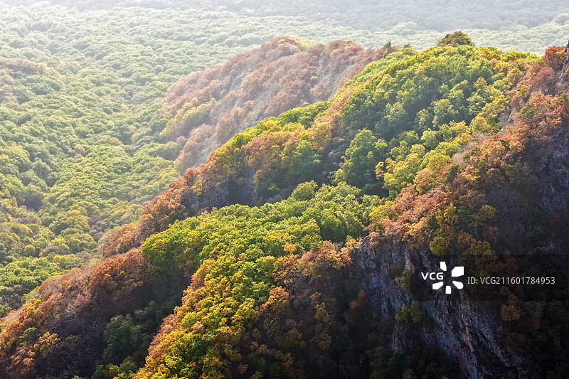 秋季，云海翻腾，层林尽染，无人机航拍吉林省吉林市蛟河市拉法山日落时分的自然风光。图片素材