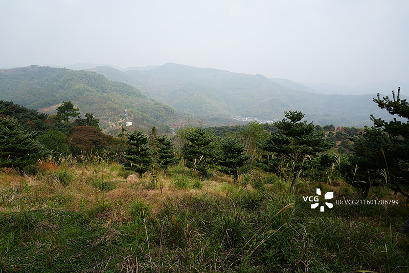 宁波 奉化 溪口镇 雪窦山 山区 三十六湾村 高山花园村 旅行 风景图片素材