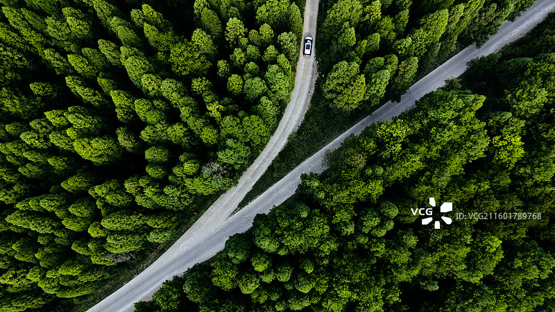 森林夏天航拍图图片素材