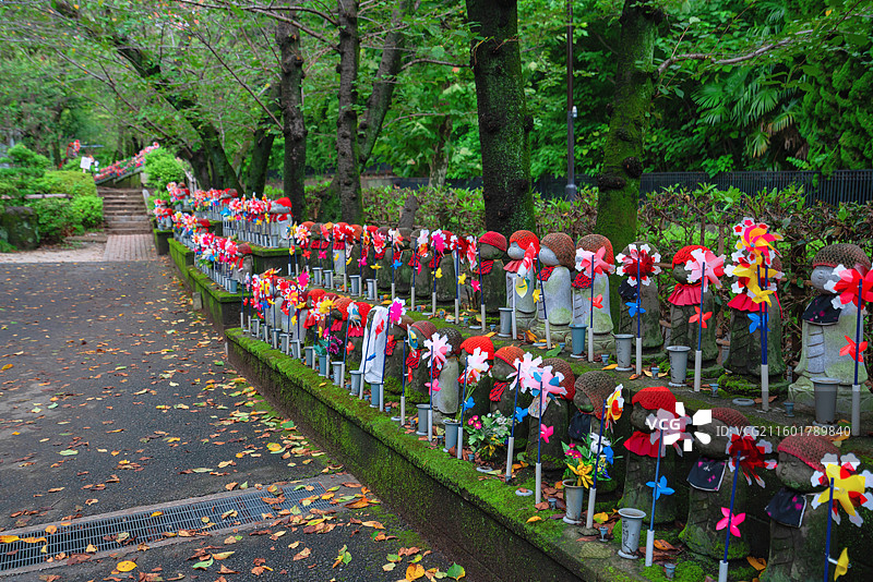 东京都，增上寺图片素材