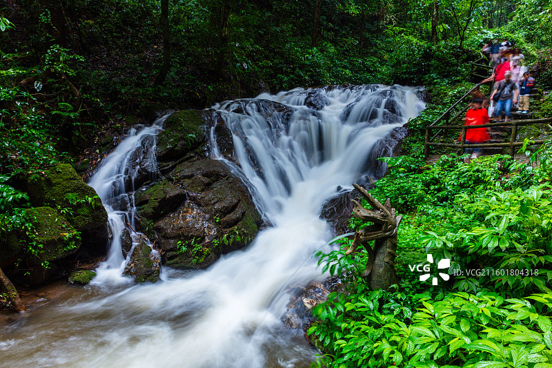 云南省德宏州瑞丽市莫里热带雨林图片素材
