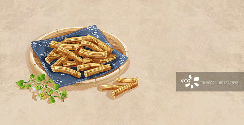 党参中药材药材插画图片素材