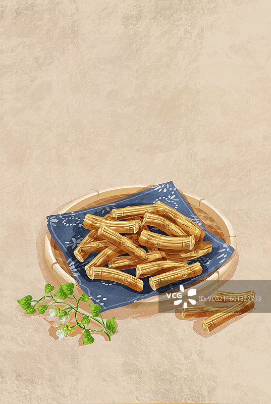 党参中药材药材插画图片素材