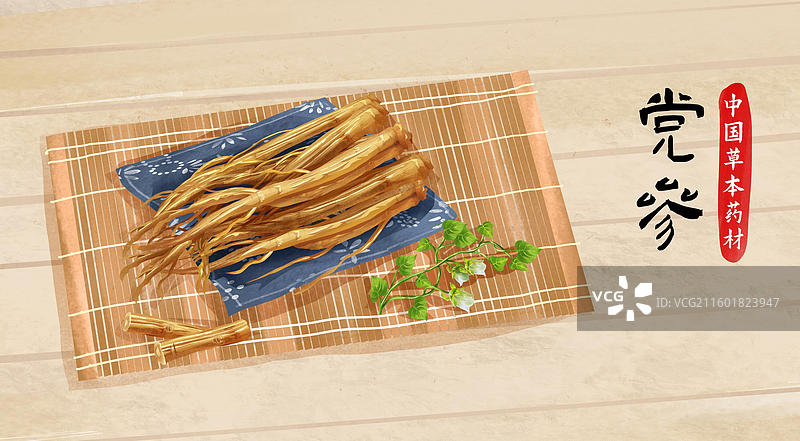 党参中药材药材插画海报图片素材