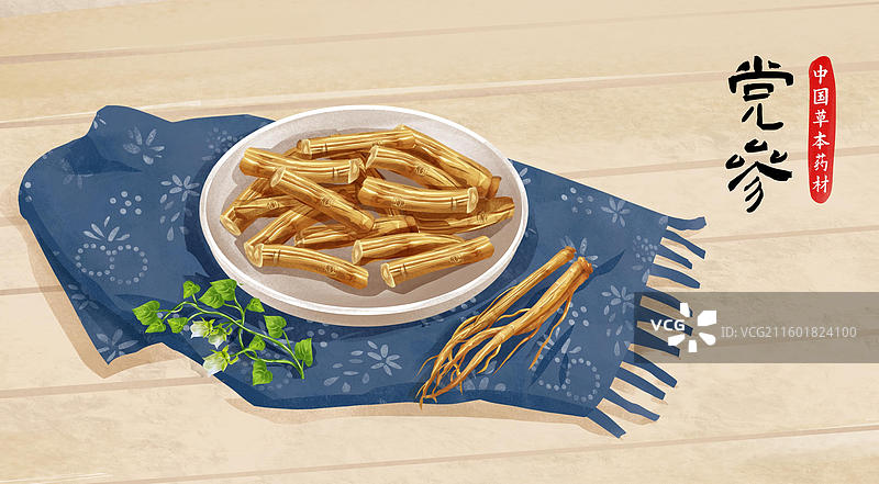党参中药材药材插画海报图片素材