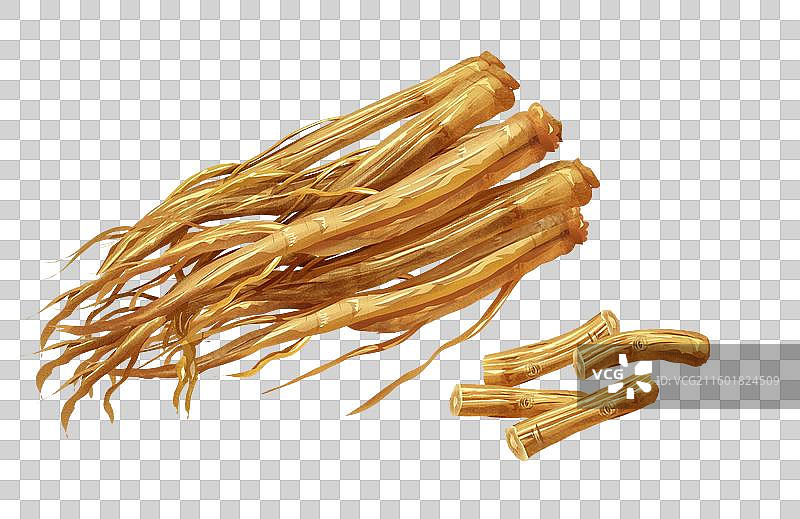 党参中药材药材插画元素图片素材