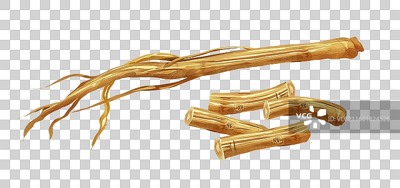 党参中药材药材插画元素图片素材