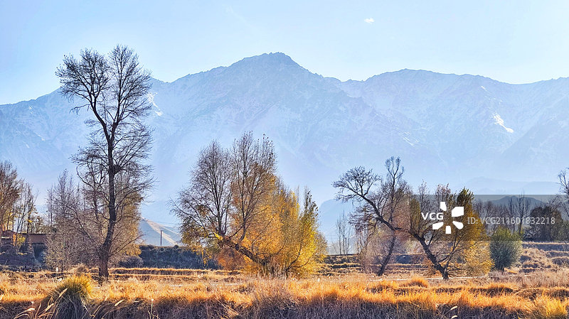 2025年11月2日深秋时节，甘肃省张掖市民乐县南古镇柳谷村秋色宜人。图片素材