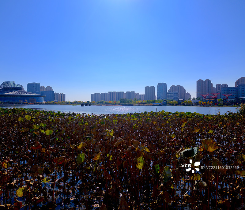 保定东湖公园，秋天景色图片素材
