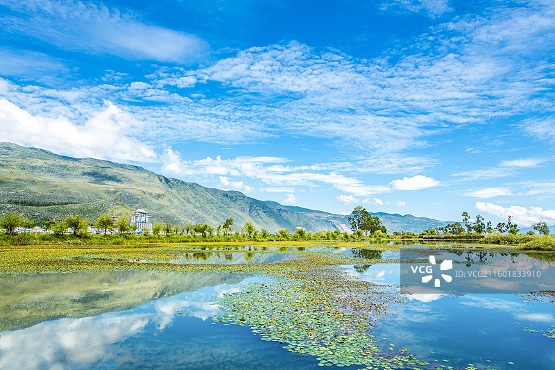 中国云南省大理白族自治州鹤庆县东草海国家湿地公园附近风光图片素材