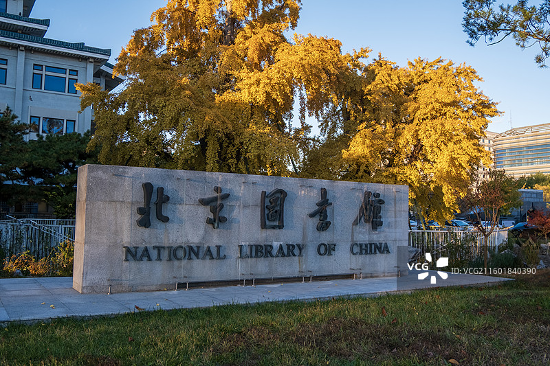 2025北京城市秋景图片素材