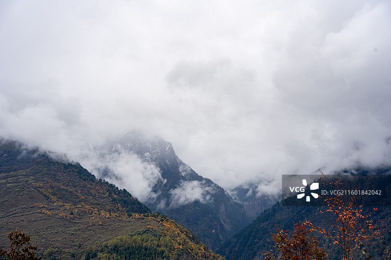 川西甘孜汶川甘海子秋天红叶彩林森林雪山高山云雾图片素材