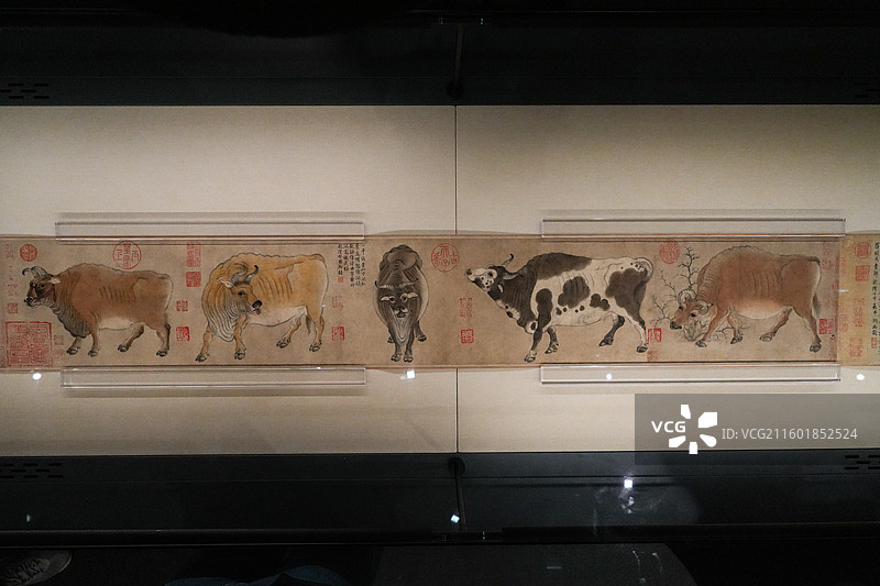北京故宫博物院“百年守护-从紫禁城到故宫博物院”展览现场韩滉《五牛图》真迹实拍图片素材