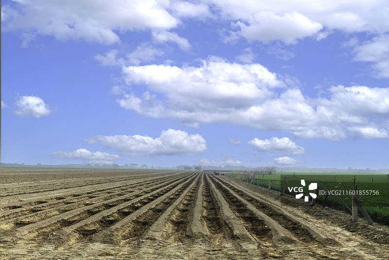 田园风光，等待播种的山药田图片素材