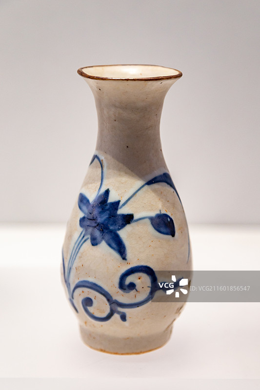 明代-青花蝶荷纹瓶 鹰潭市博物馆图片素材