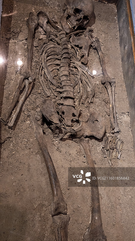 荷兰格罗宁根城市的建筑和文物图片素材