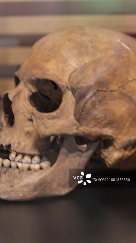 荷兰格罗宁根城市的建筑和文物图片素材