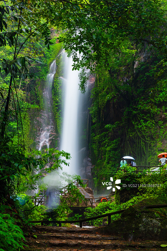 云南省德宏州瑞丽市莫里热带雨林图片素材