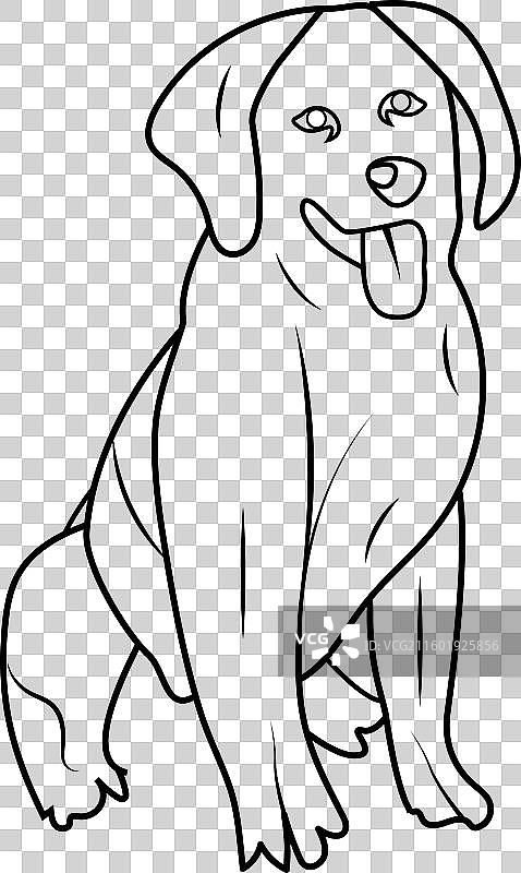 拉布拉多幼犬涂色页或涂色书，适合儿童图片素材