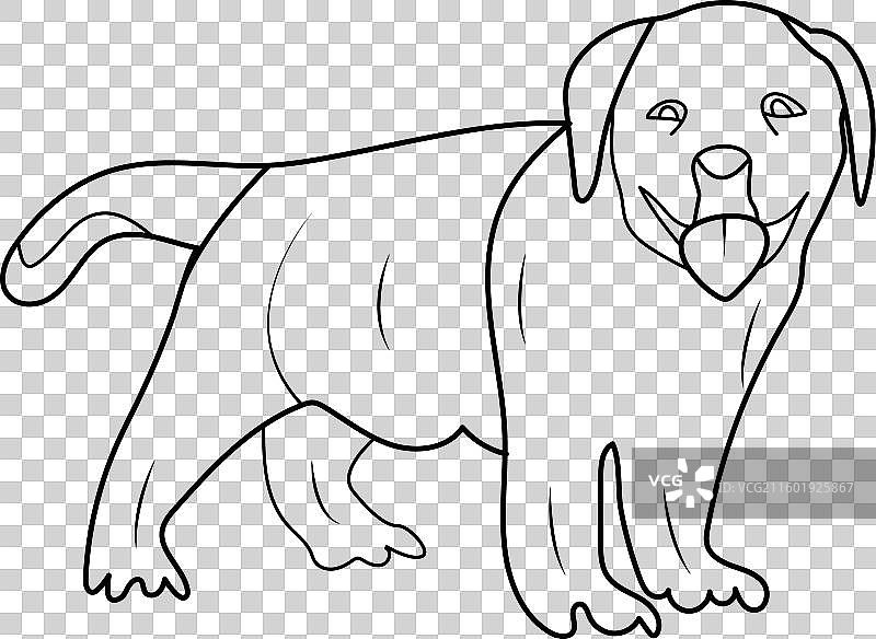 拉布拉多幼犬涂色页或儿童涂色书图片素材