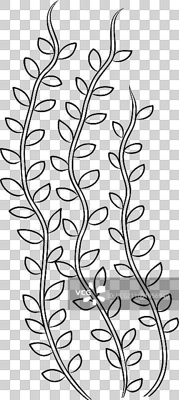 海底海带螺旋藻海藻图片素材