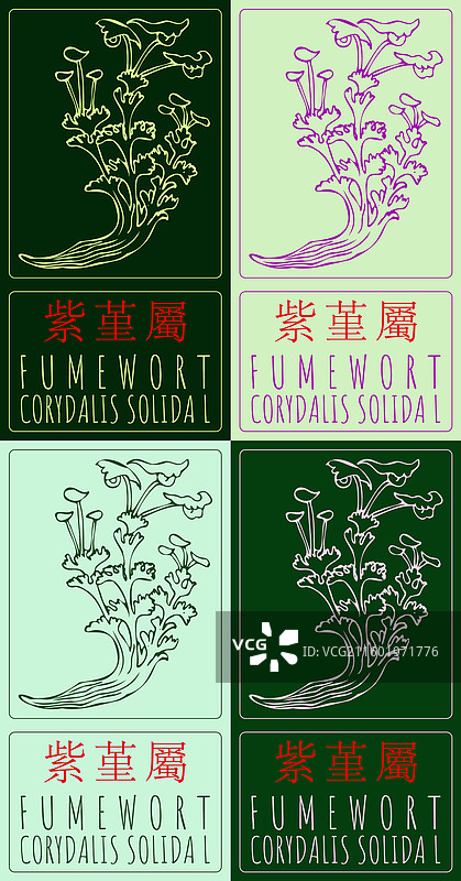 一套中国风的云纹图案图片素材