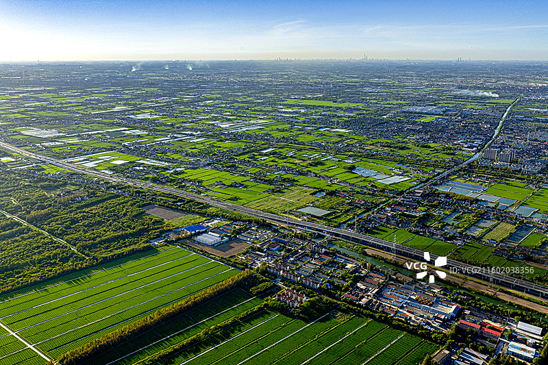 航拍上海五四农场兴隆新村 两港西大道 上山下乡知青岁月 盐碱地改良种植水稻 杭州湾北岸 奉贤海湾镇图片素材