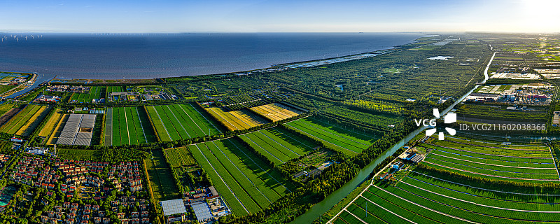 航拍上海五四农场 上山下乡知青岁月 沿海滩涂围垦造田盐碱地改良种植水稻 杭州湾北岸 奉贤海湾镇图片素材