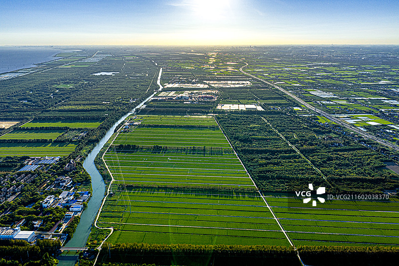 航拍上海五四农场农工商现代农业园区 上山下乡知青岁月 沿海滩涂围垦造田盐碱地改良种植水稻 奉贤海湾镇图片素材