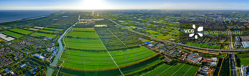 航拍上海五四农场农工商现代农业园区 上山下乡知青岁月 沿海滩涂围垦造田盐碱地改良种植水稻 奉贤海湾镇图片素材