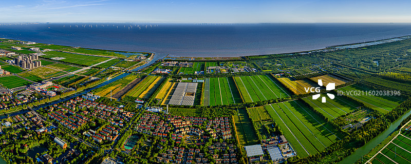 航拍上海五四农场 上山下乡知青岁月 沿海滩涂围垦造田盐碱地改良种植水稻 杭州湾北岸 奉贤海湾镇图片素材