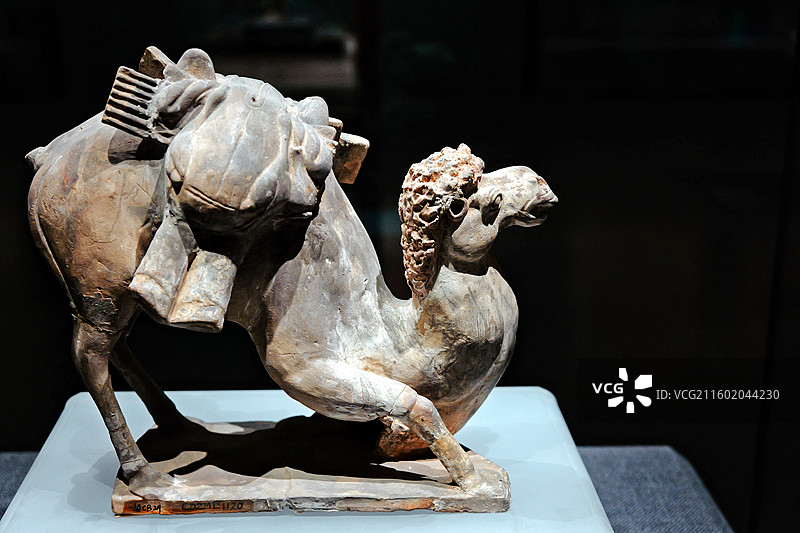 邯郸北朝考古博物馆藏东魏茹茹公主墓陶骆驼图片素材