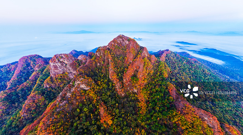 秋季清晨，云海翻腾，层林尽染，无人机航拍吉林省吉林市蛟河市拉法山日出时分的自然风光。图片素材