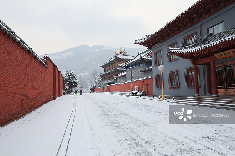 五台山大雪白茫茫冰天雪地红墙寺庙建筑千里冰封万里雪飘塔院寺菩萨顶显通寺罗睺寺广化寺普寿寺善财洞黛螺顶图片素材